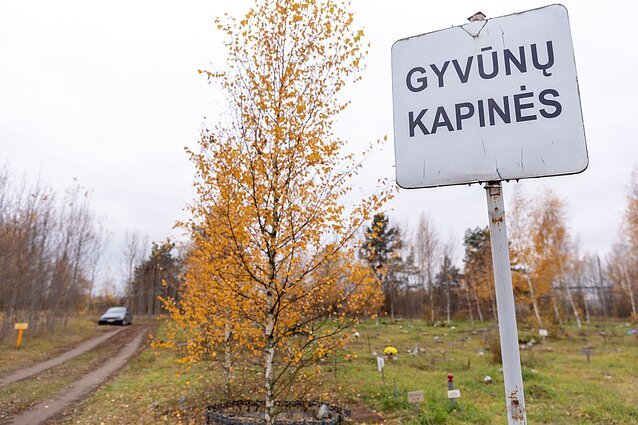 Gyvūnų kapinės