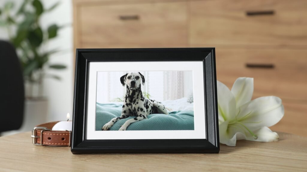 Atsisveikinimas su augintiniu