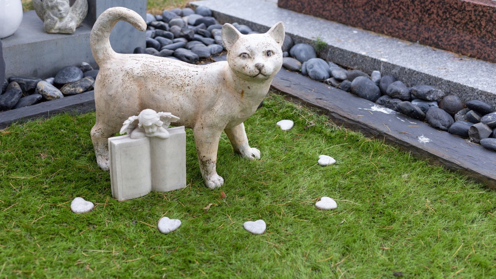 Antkapis skirtas katinui